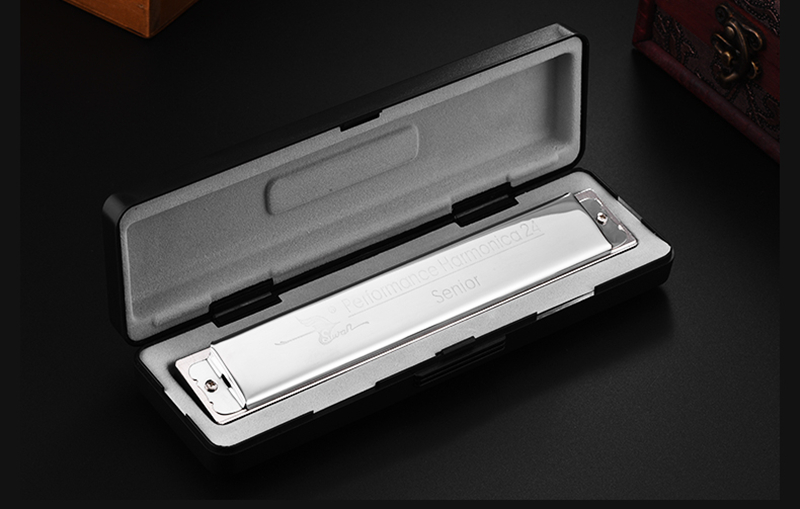 Swan – Harmonica trémolo , 24 trous, argent, C, D, E, F, G, A, B, Instrument de musique, harpe