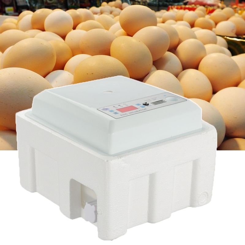160 oeufs incubateur couveuse oiseau caille incubateur 220V 110V poussin écloserie volaille éclosoir tourneur automatique ferme incubateur outils