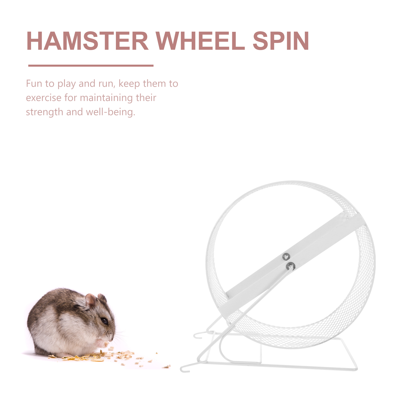 Squirrel Run Wheel Funny Hamster Exercise Wheel Hedgehog Running