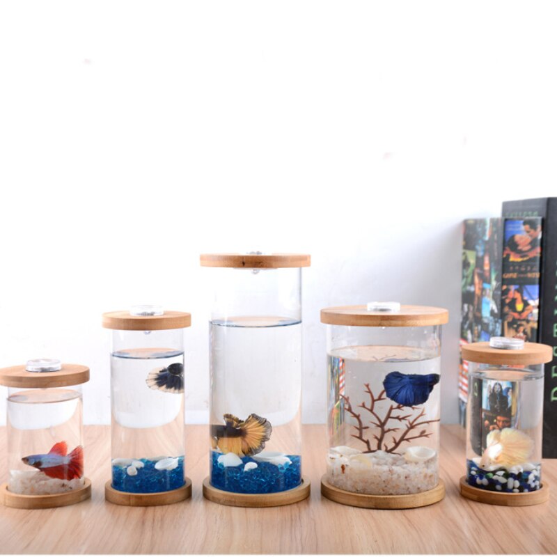 DIY Pattern Ecological Bottle Fish Micro Landscape Aquarium Small Fish Living Bucket Desktop Small Fish Tank