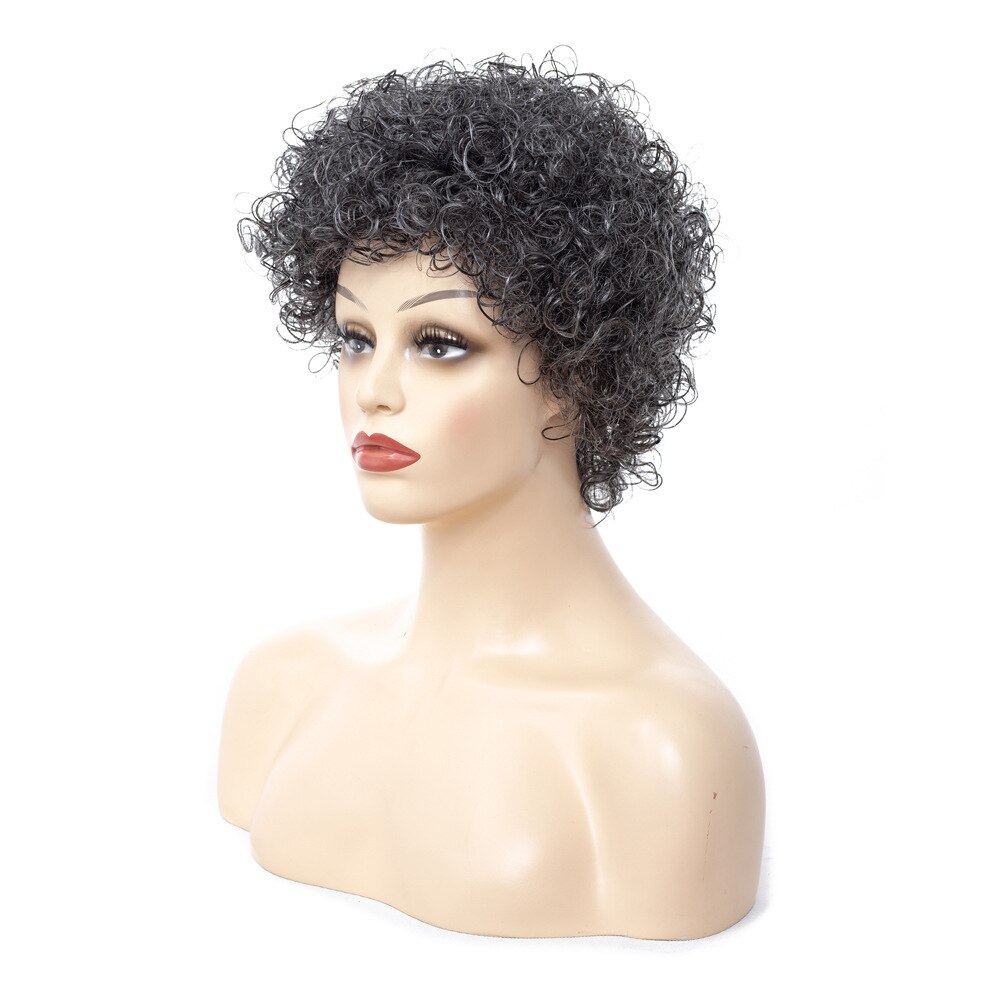 Kinky Curly Afro Wig Gray 6inch Short Wigs for Women Synthetic Hair YxCheris