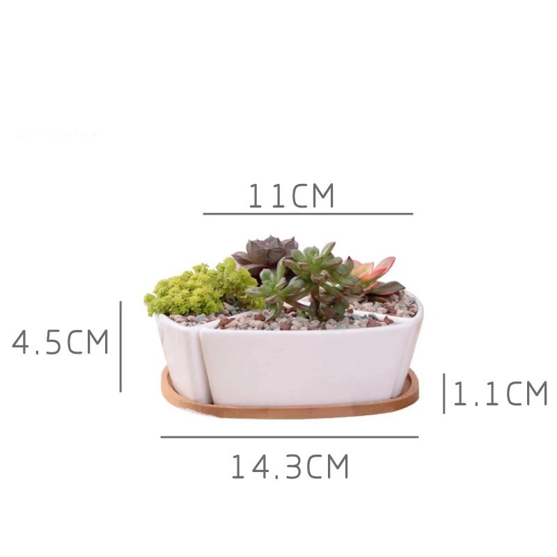 Hvid porcelæn sukkulenter potte grønne planter urtepotte med bambus bakke kontor bordplade planter kortfattet vase boligindretning: N