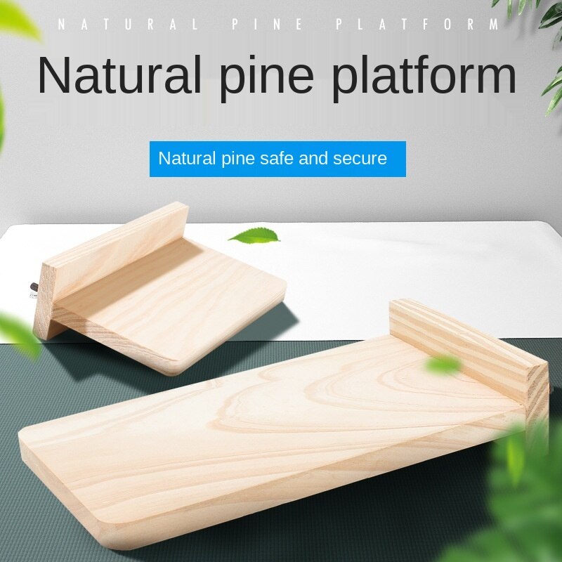Plateau en bois pour perroquet, rond, Rectangle, plateau en bois, support, jouets en pin naturel, fournitures pour perche à oiseaux, tremplin ZA259