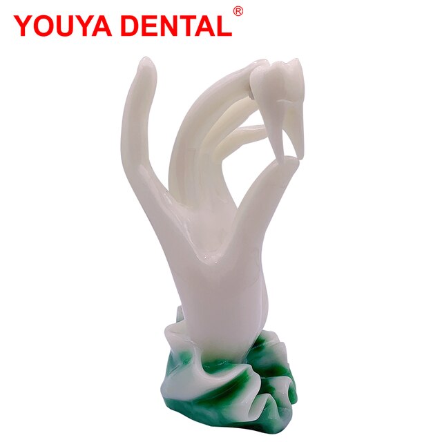 Dentistry Decoration Dentist Dental Figurines Tooth Jewelry Hand Sculpture Clinic Desktop Showcase Ornament Furnishings: Default Title