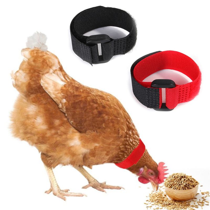 Adjustable Chicken Collars Durable Anti-Hook Noise Free Neckband for Poultry