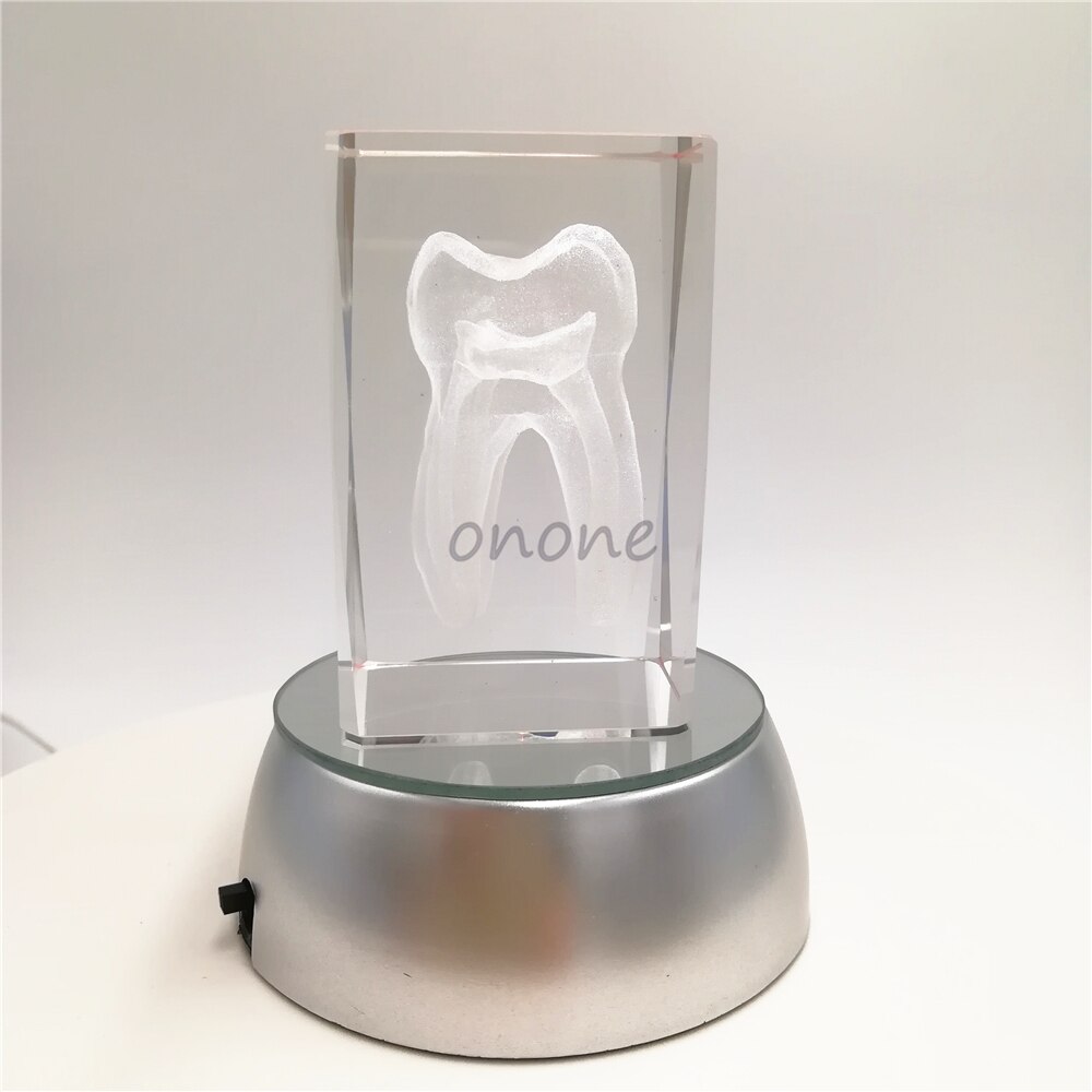 1pcs Dental Artware Teeth Model Dentist Crystal Model Handicraft Article