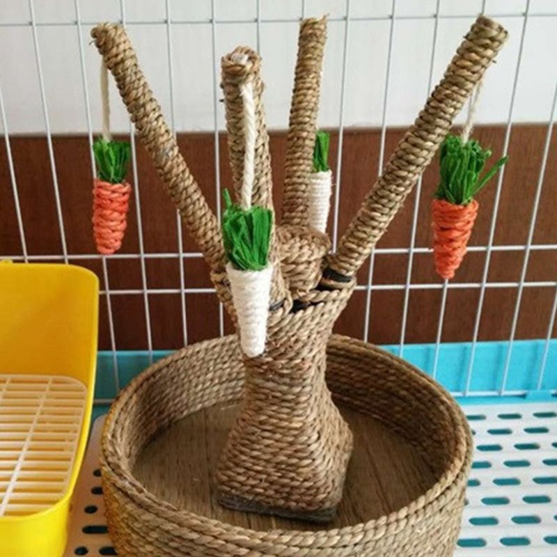 Small Animal Activity Rabbit Toy Fun Carrot Tree Boredom Breaker Rodent Dutch Rat Bite Playing Interaction Lovely Pet