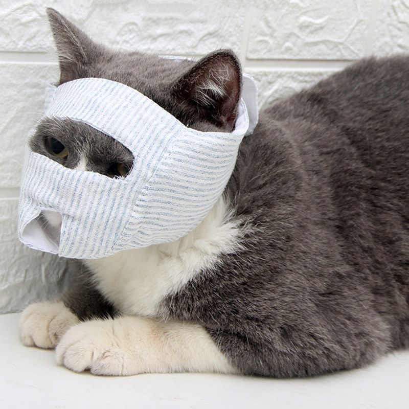 Mascarilla para el cuidado de los ojos de gato, prevención de mordeduras, inyección de gatito, máscara de gato, bozal de gatito, suministros para mascotas, bozal de gato transpirable