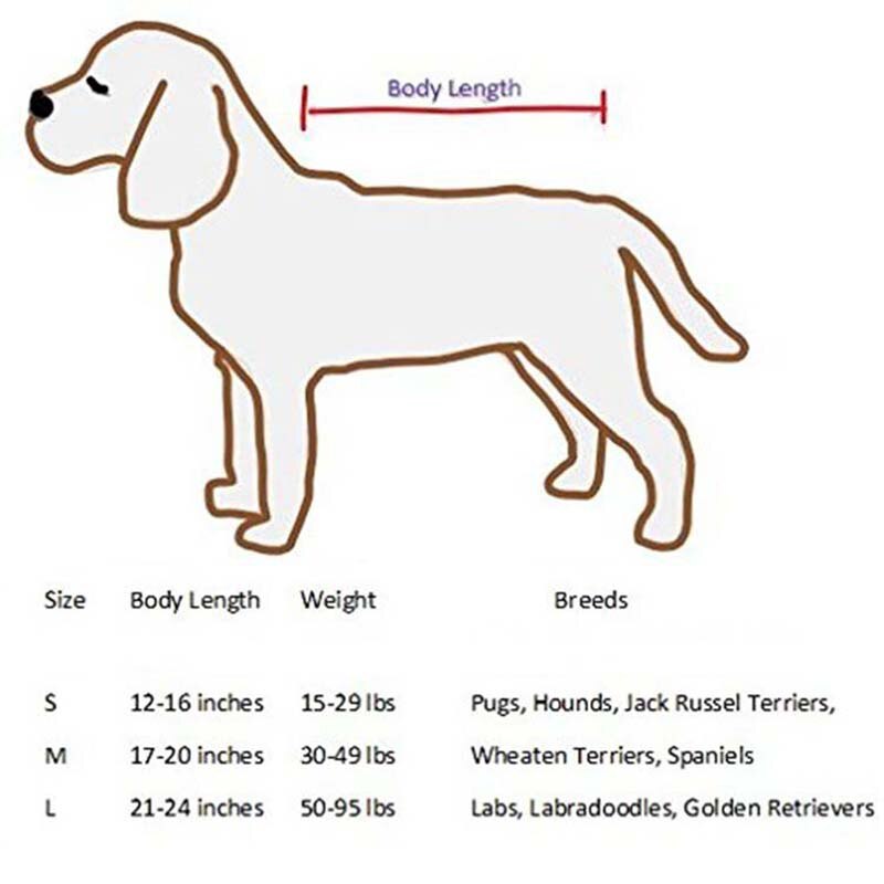 Dog Dryer Puff and Fluff Cheap Grooming Dryer Pet Hair Dryer Blower Summer French Bulldog Chihuahua Cat Ropa Perro Pug Hond Dog