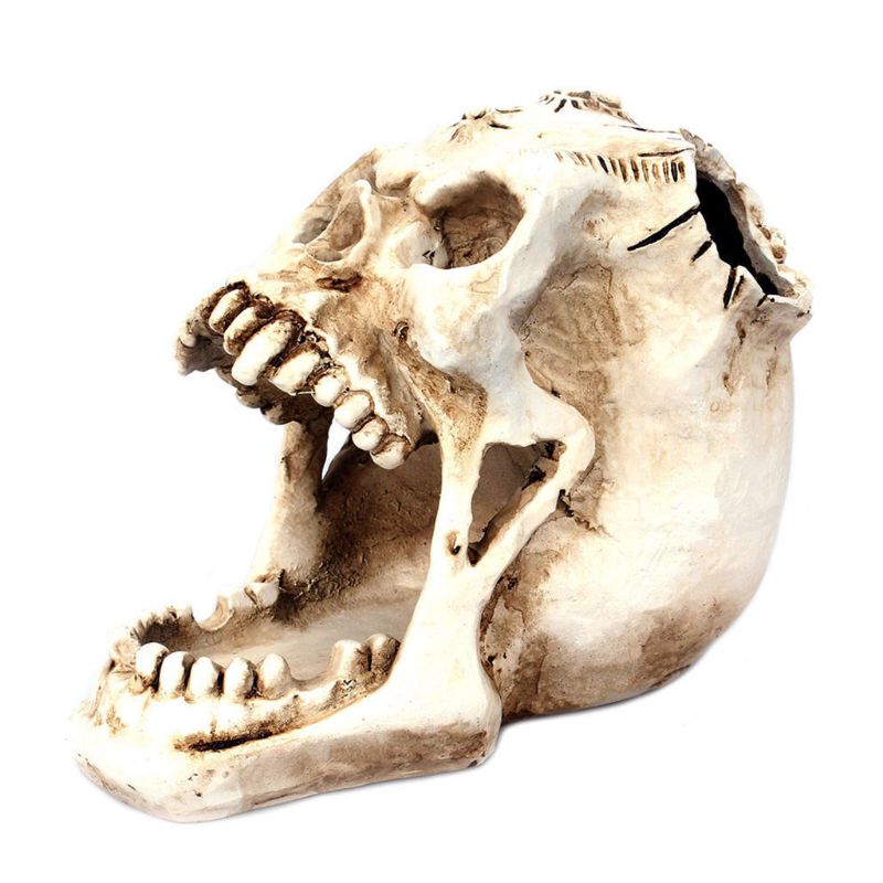 Schedel Hoofd Ornament Skelet Pen Houder Desktop Potlood Organizer Make Storage Q1JC