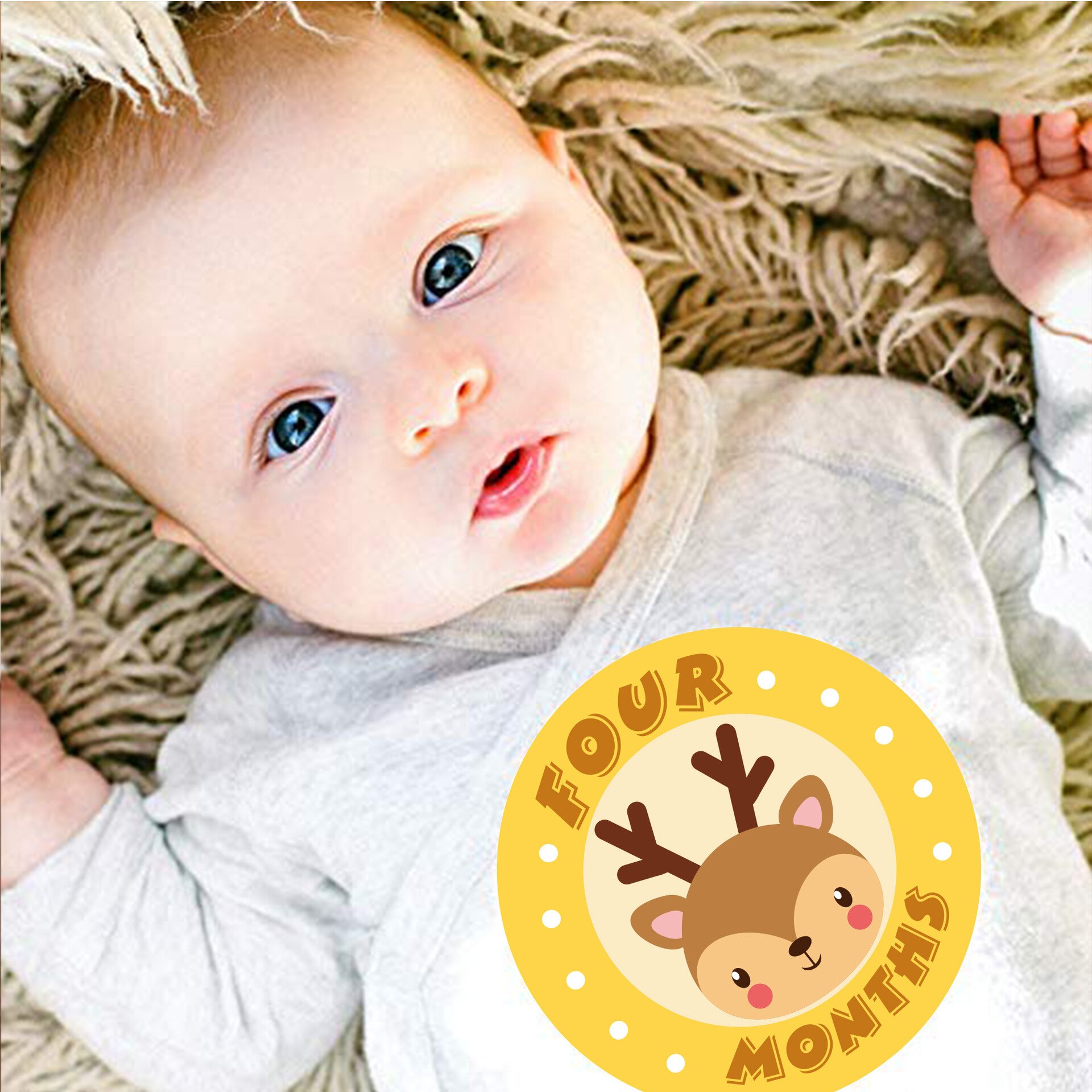 12 pçs mês do bebê adesivo animal primeiro ano mensal marco foto compartilhamento bebê barriga adesivos 1-12 meses bebê crescimento álbum