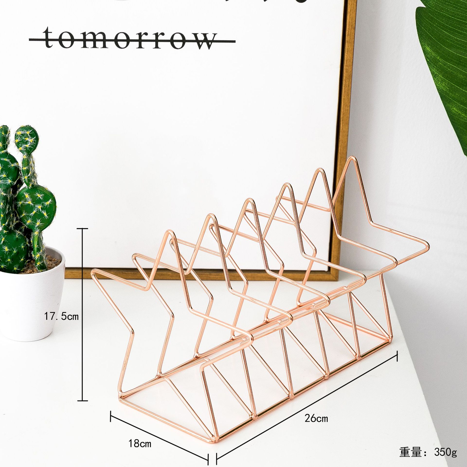 Pentastar Shape Magazine Holder File Sorter Metal 5 Slot Desk Organizer Rack for Document Folder Letter and Book Bookstand