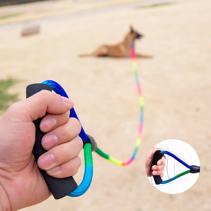 Lange Leash Voor Een Hond 3M Rainbow Lange Lood Hondenriem 5M Lange Leash Voor Een Hond 10M Recall Training Tracking Gehoorzaamheid Touw