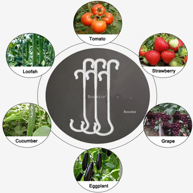 Ganchos en forma de J para soporte de tomate, 13/16CM, soporte para plantas, Clips para verduras para evitar tomates, racimo de frutas de pellizco o caída