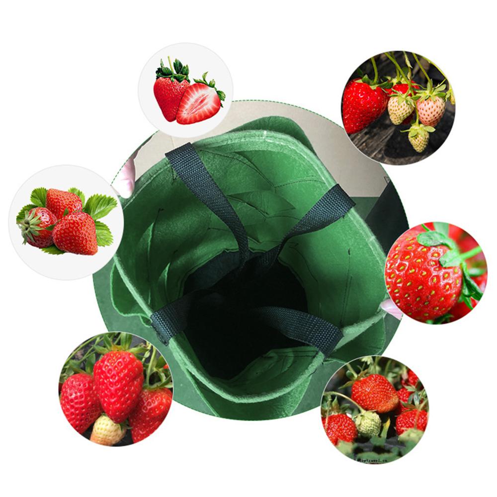 Strawberry plant pot Grow Bag DIY Jardinage potager strawberry seeds Planter PE Fabrics Vegetable Garden Pots for Planting Tool