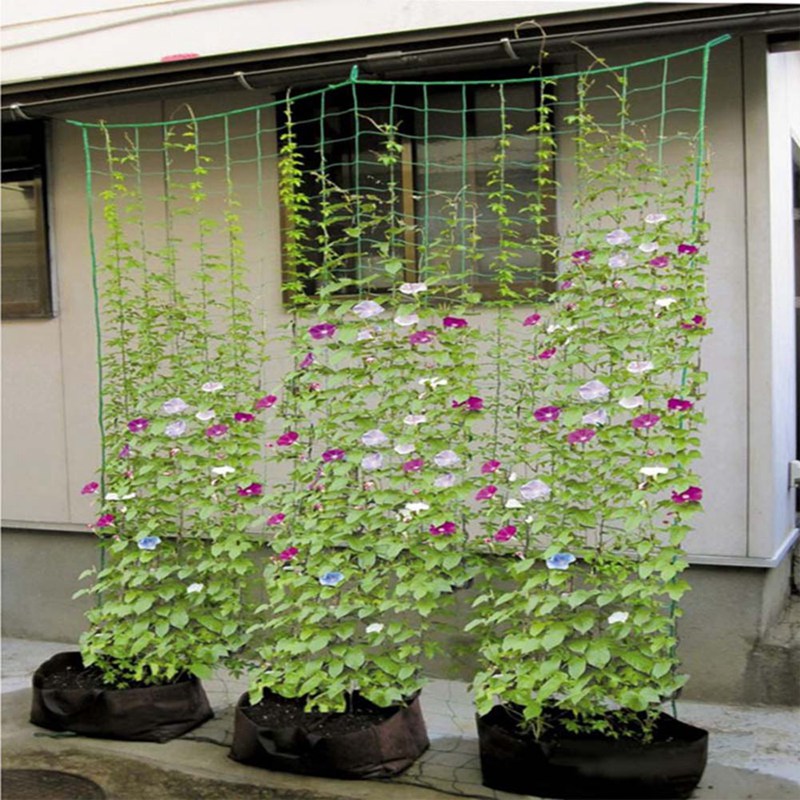 1pc haven hegn nylon netto plantevækst klatreramme hegn gitter havearbejde netto vegetabilske planter gitter haveredskaber
