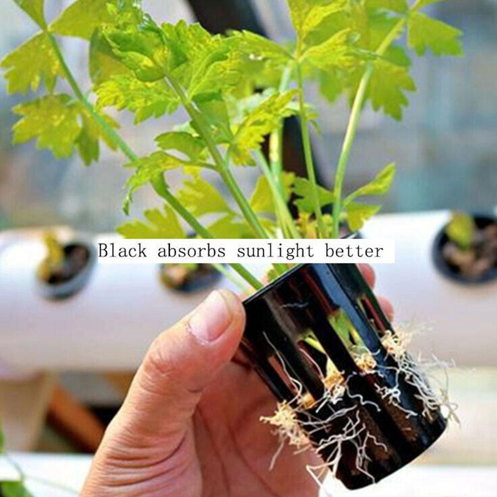 Plastic Fixer Grondloze Teelt Groente Planten Wortel Fixer Te Reinigen Corrosiebestendig