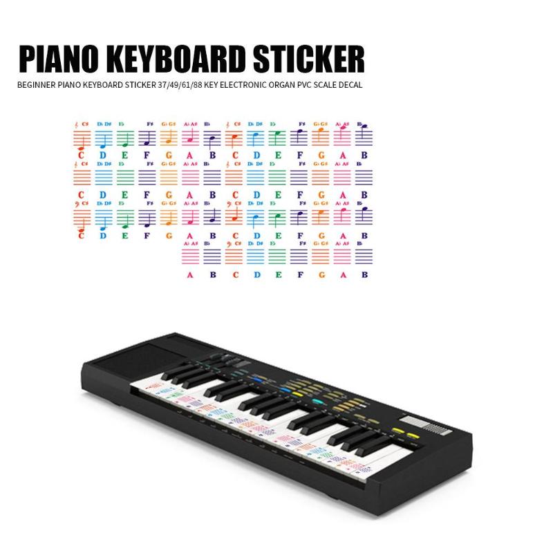 Durable Spectrum Keyboard Stickers Hit Color Transparent 25/49/61/76/88 Key Piano Keyboard Stave Note Sticker for Children