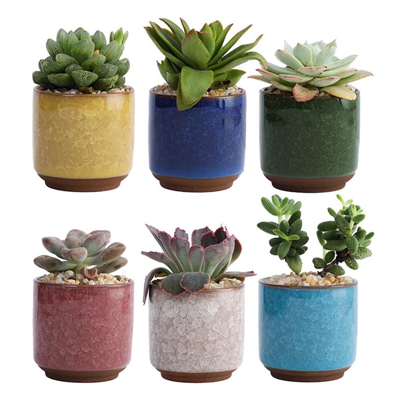 6 stk keramiske saftige planter potter farvet keramisk blomsterpotte til hjemmekontor indretning saftige planter (farve uden plante)