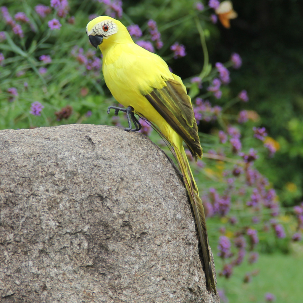 Oiseaux de jardin artificiels colorés | Faux perroquets, modèle d'oiseaux, décoration pour arbre de pelouse et jardin de maison en plein air: D