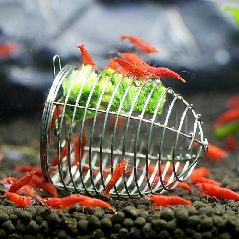 Gambas para Alimentación de Mascotas ornamentos de alimentación de verduras duraderas cestas de alimentación mascotas acuáticas de acero inoxidable acuario cristal alimentador de gamba