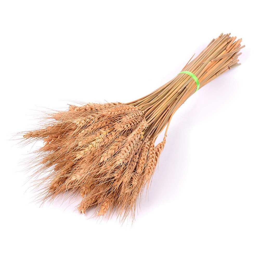 50Pcs/lot Real Wheat Ear Flower Natural Dried Flowers or Wedding Party Decoration DIY Craft Scrapbook Home Decor Wheat Bouquet: Brown