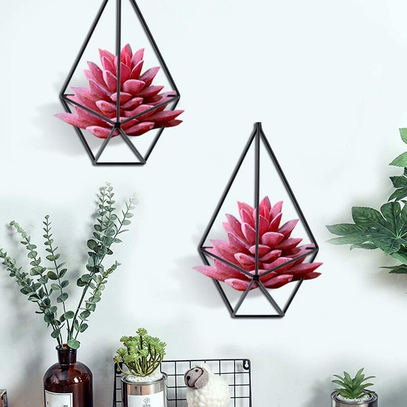 2 Stuks Opknoping Air Plant Stand Voor Tillandsia Display Wall Gemonteerde Geometrische Tillandsia Air Plant Stand