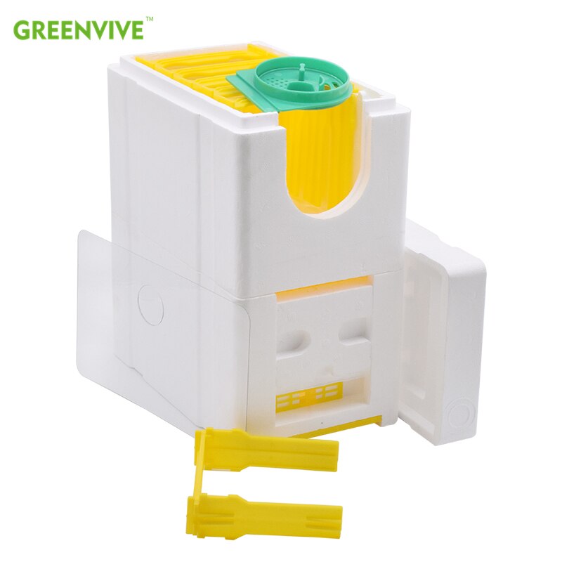 Double Beekeeping Queen Breeding Queen Rearing Mini Polystyrene Mating Nuc Hive Box for Beekeeping Beginners