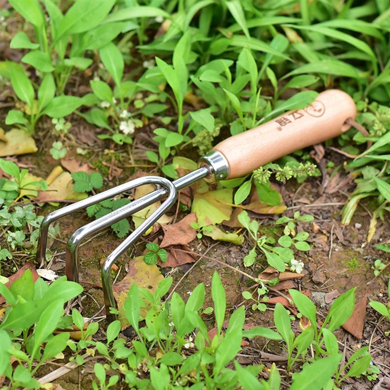 1Pc Rvs Tuin Hark Cultivator Tuin Tool Houten Handvat Kleine Mini Hark (Willekeurige Teken)