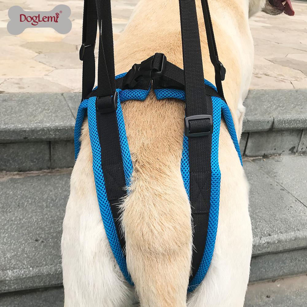 Harnais de levage réglable pour chien, pour les pattes arrière, Support pour animaux de compagnie, écharpe pour les jambes faibles, outil d'assistance pour les chiens
