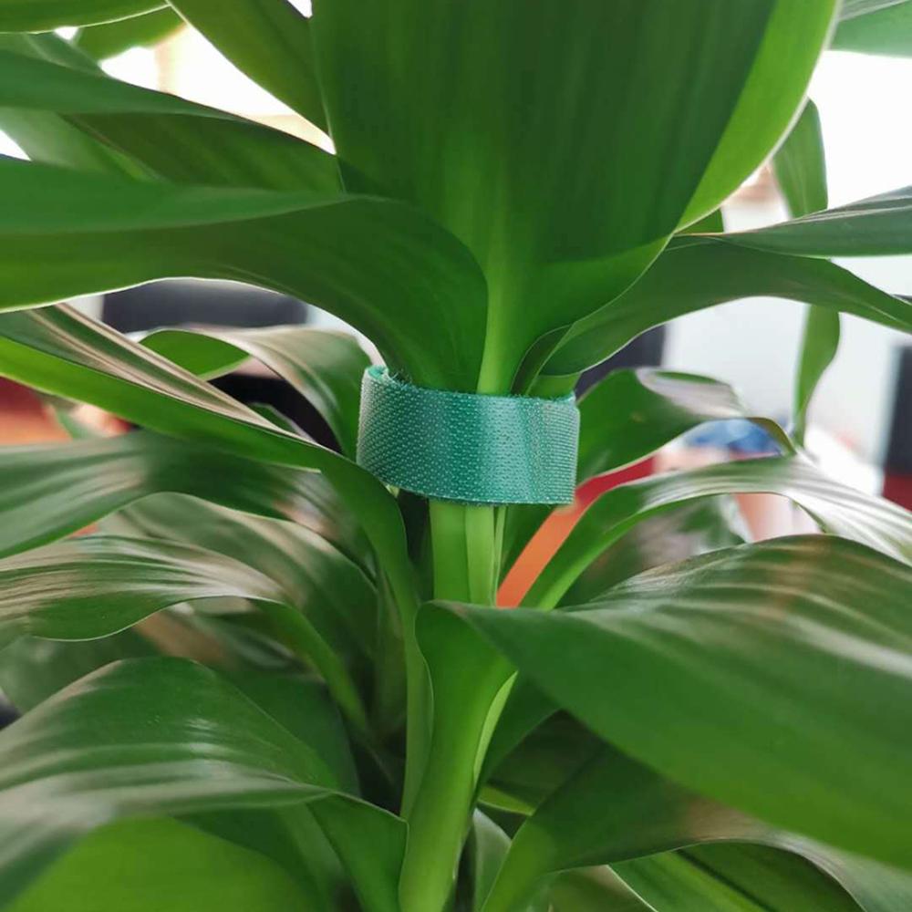 Farverig nylon plante bandage velcro binde have plante form tape nylon plante bandage ultra tynd velcro binde havetilbehør