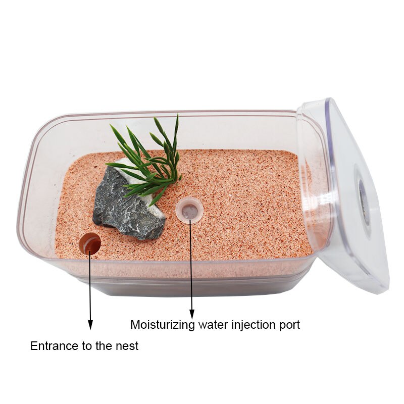 Plaster Ant Farm with Workshop Highly Moisturizing Ant Nest Pet Anthil Castle Ant House with Feeding Area Insect Box 12*6*10cm