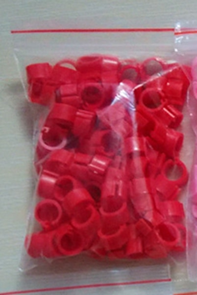 100Pcs Duiven Ringen 8*7Mm Bajonet Identificatie Ring Opening Ring Kleur Duif Voetring Duif Levert Vogel apparaten