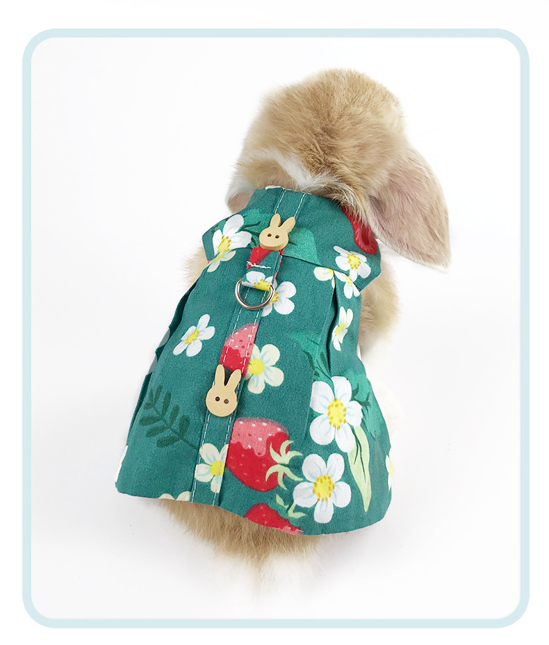 Vêtements pour petits animaux de compagnie, corde de Traction, lapin nains, cochon d&#39;inde, bijoux spéciaux, pour jeunes lapins