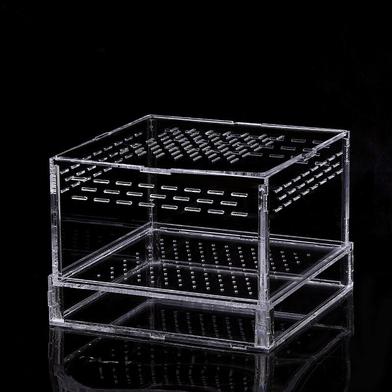 1PCS Feeding Box Living Feed Acrylic Box Barley Insect Box Yellow Mealworm Living Feeding Box