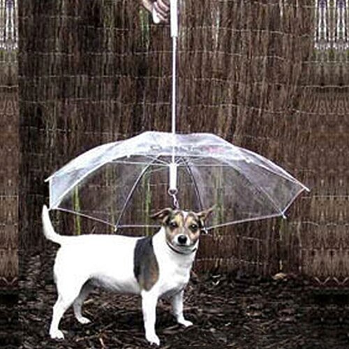 Dog Walking Waterproof Clear Cover Built-in Leash Rain Sleet Snow Pet Umbrella Dog Raincoats