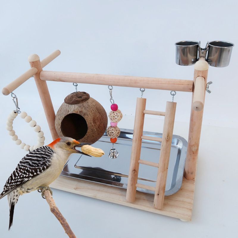 Aire de jeux pour perroquets et oiseaux, perchoir en bois, gymnastique, coquille de noix de coco, Cage à oiseaux, échelle, jouets d&#39;exercice avec coupelles d&#39;alimentation pour les tourtereaux conures