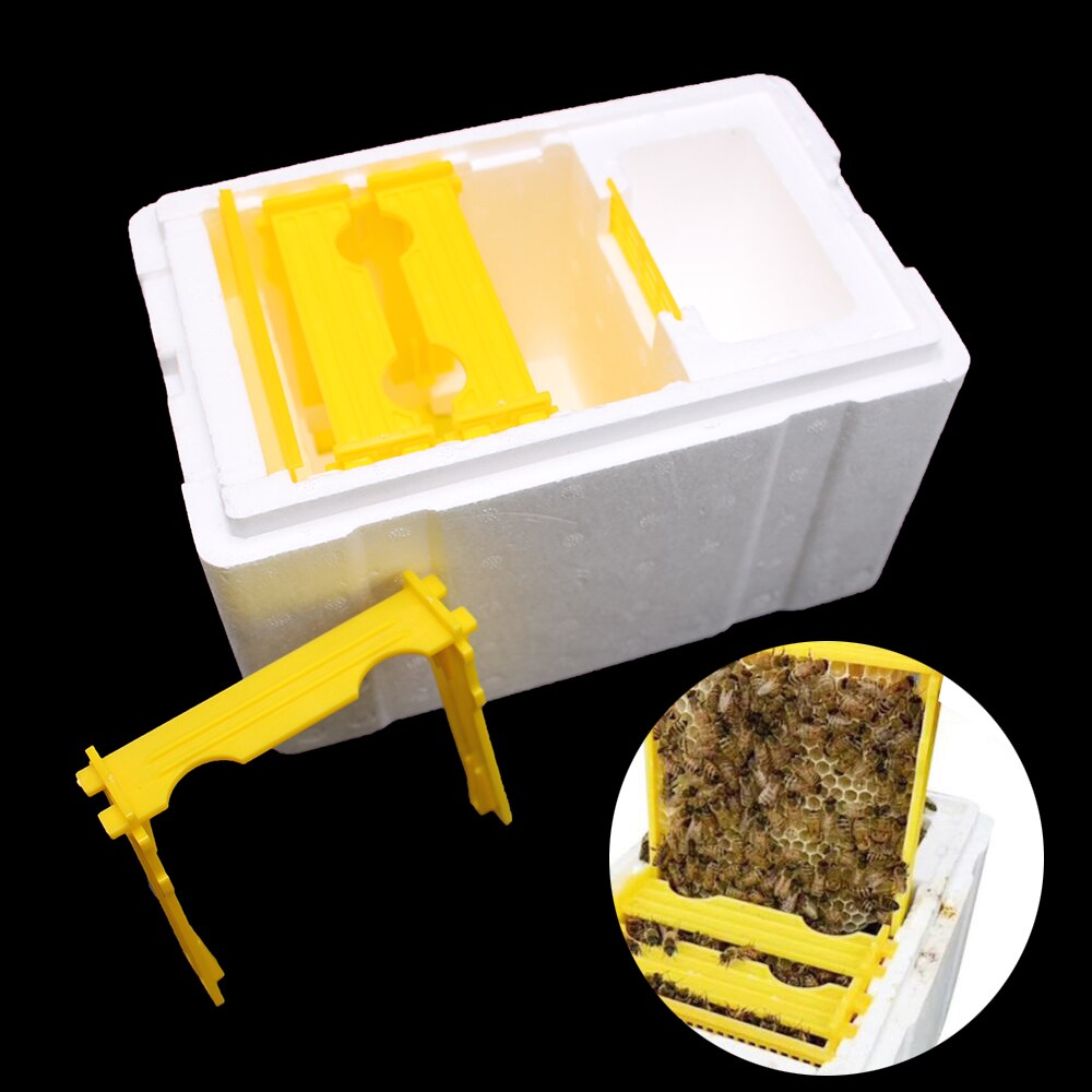 1PCS Beekeeping Hive Box Harvest Beehive King Queen Pollination Joining Mating Copulation Mating Multiply Breeding Bees Tools