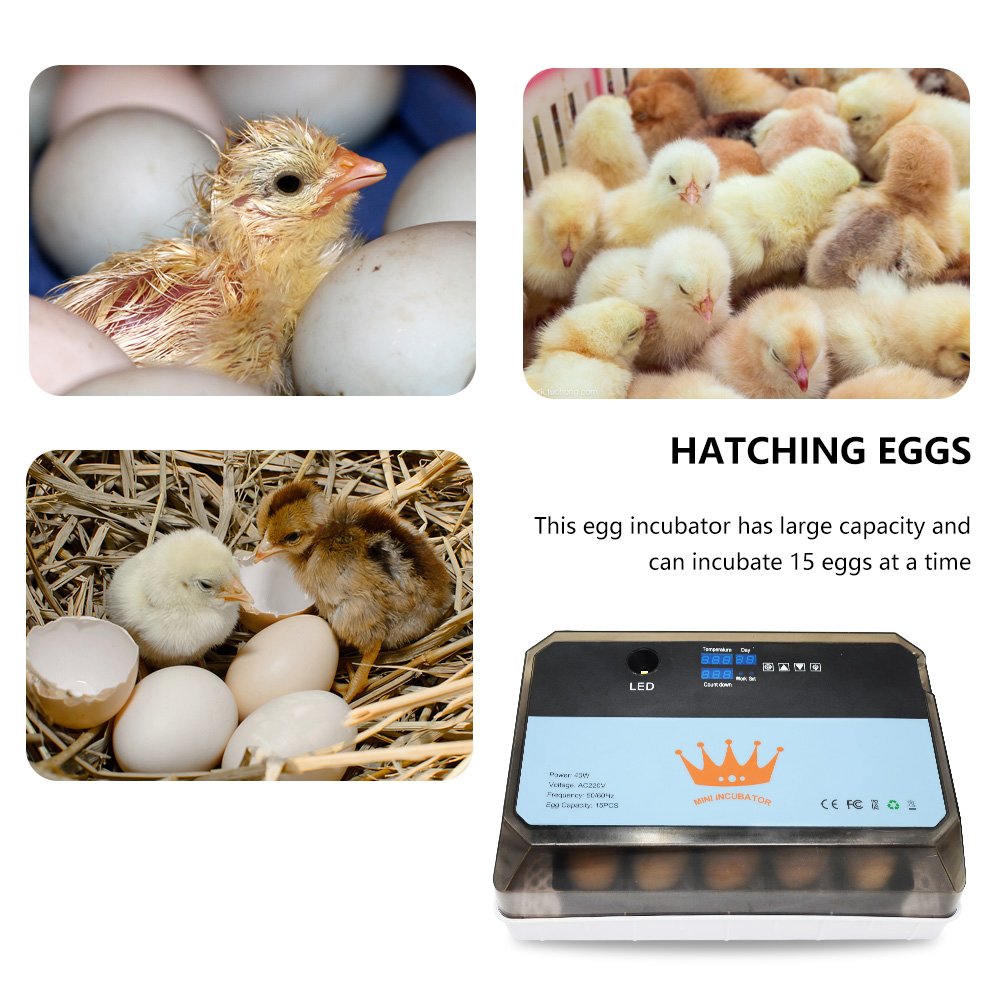 Newest Farm 15Eggs Incubator Multifunctional Automatic Digital Incubator with Temperature Humidity Sensors for