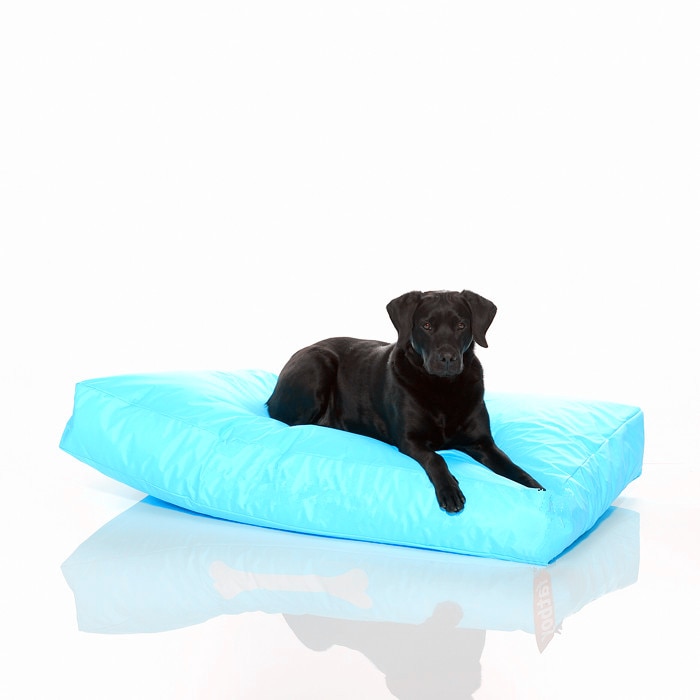 EXTRA large 100cm x 70cm x 20cm size dog bean bag sofa beds, pet beanbag cushion,waterproof and tear repellent beanbag bedding: aqua blue