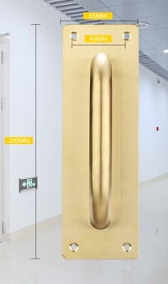 2Pcs/Lot Stainless Steel Face Mount Door Pull Push Plate Fire proof door Brush Gold Rose Gold: Gold Small Square