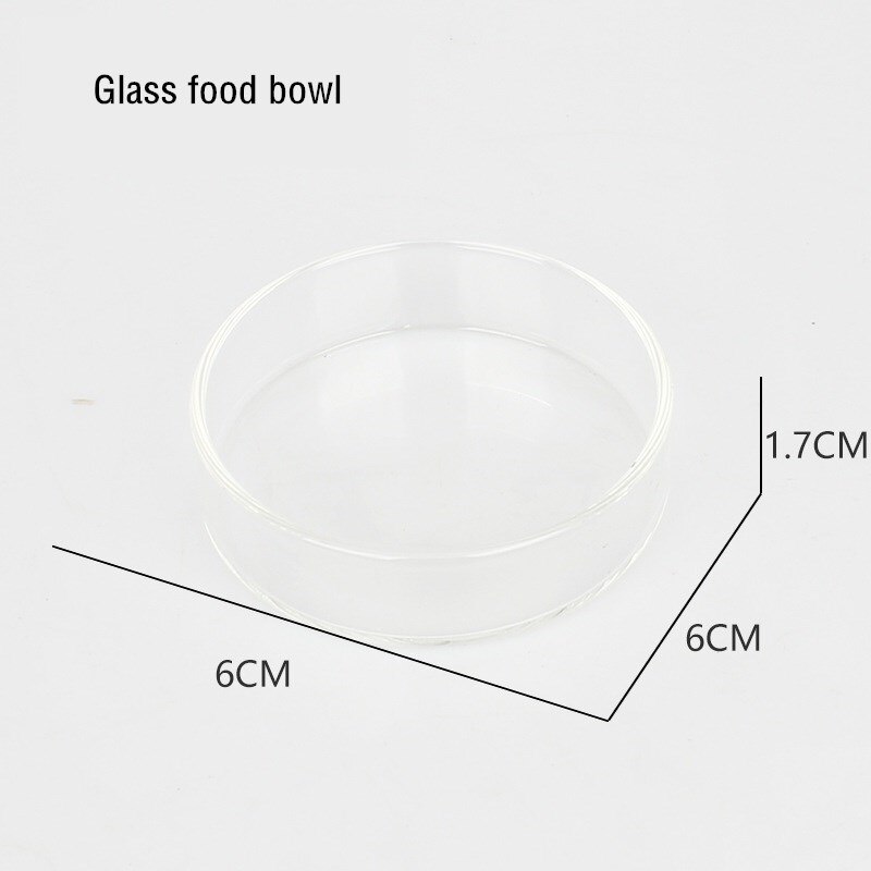 Reptile Rock Food Dish Bowl Lizard Gecko Water Dispenser Pet Bowls Anti-Escape Mini Superworm Feeder Terrarium Landscaping: 2