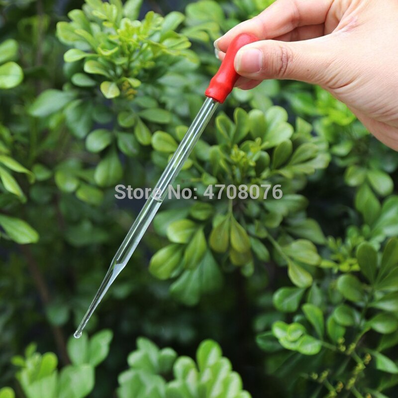 Glass Pasteur pipettes with rubber head Transfer dropper with cover Borosilicate dropping tube Pyrex pipette filler 10pcs/pack