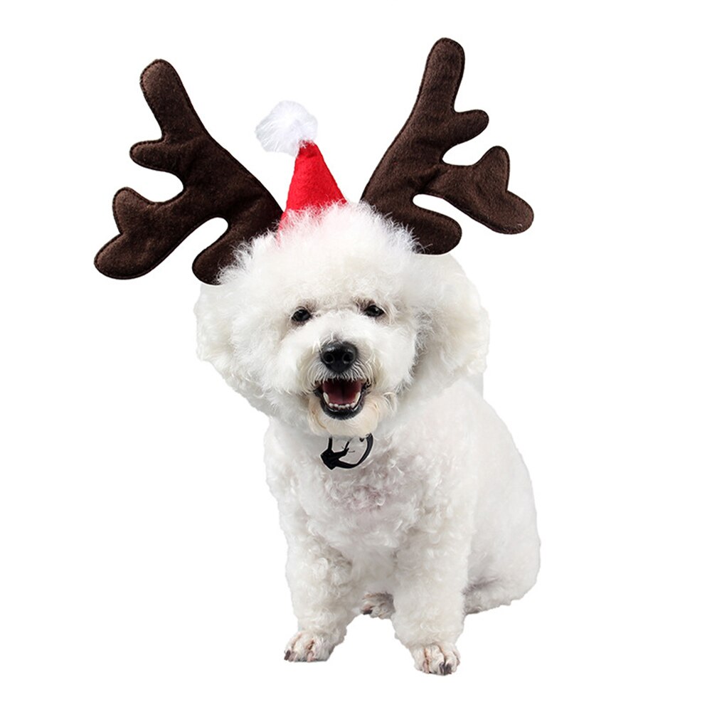 Elg rensdyr gevir kæledyr leverer kort plys hovedbeklædning udendørs katte fest justerbar hund pandebånd jul kostume elastisk: 1