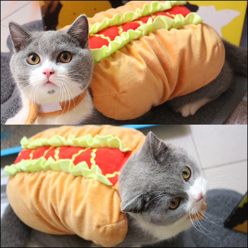 [Pet Costumes] Hotdog Sandwich Cat Costume, The Cat Burger, Funny Costume for Kittens, Cats and Small Dogs
