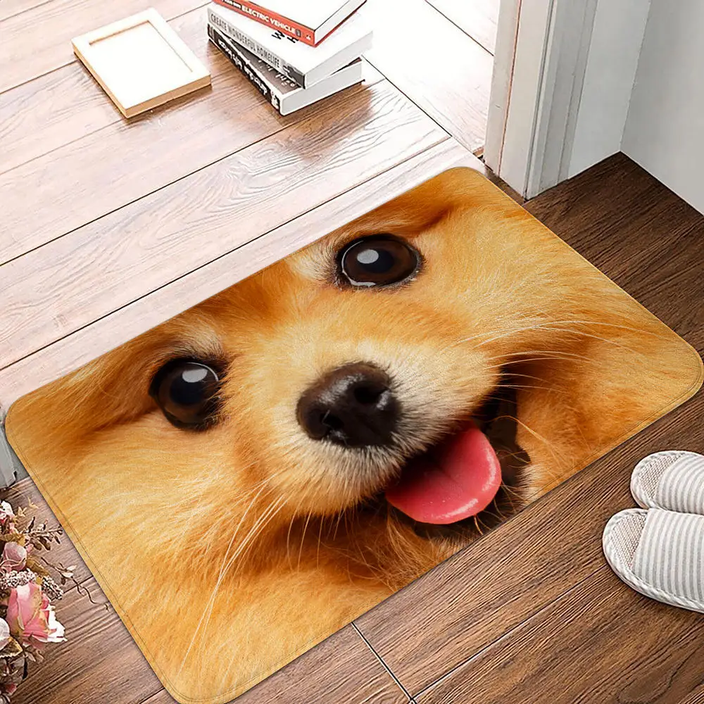 Bedroom Balcony Non-Slip Rug Entrance Door Mat Floor Dog Funny Pug Schnauzer Kitchen Living Room: 1 m2 / Light Grey