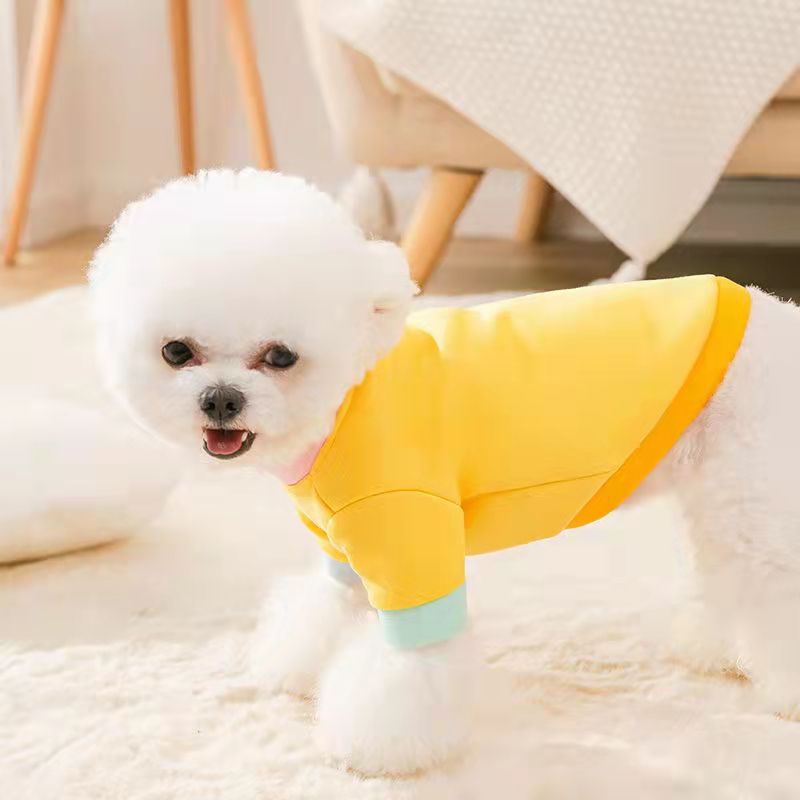 Lente Herfst Pet Dog Hoodie Korte Rok Leuke Leuke Kat Hond Kleding Voor Kleine Honden Puppy Outfit Teddy Pommeren Chihuahua