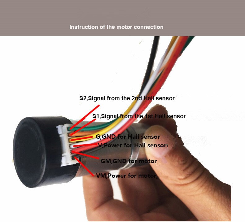 25GA-370 DC Motoriduttore con Sensore Hall Ingranaggi In Metallo Motore 9 V/150 rpm High Torque Spazzolato Motore per FAI DA TE Auto Robot Intelligente