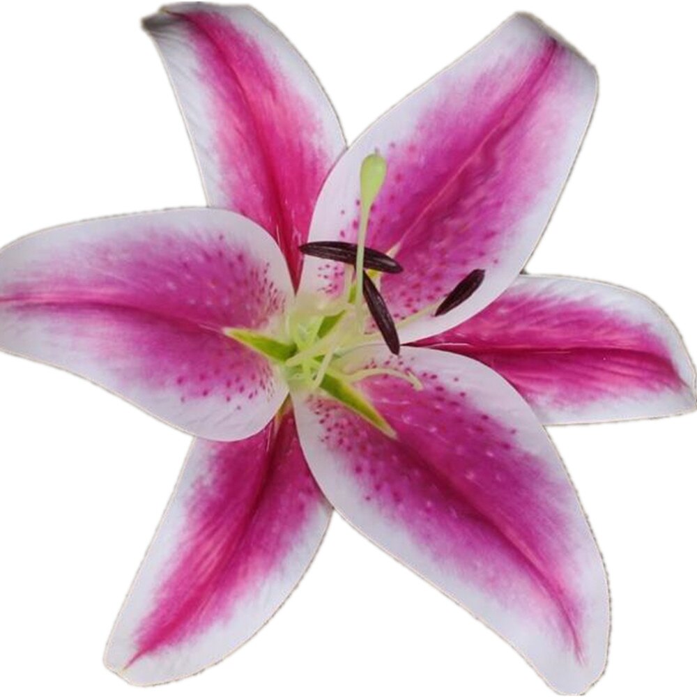 12 Uds Real toque de Azucena cabezas de flores 20cm PU Lily flor 8 colores: Rosa oscuro