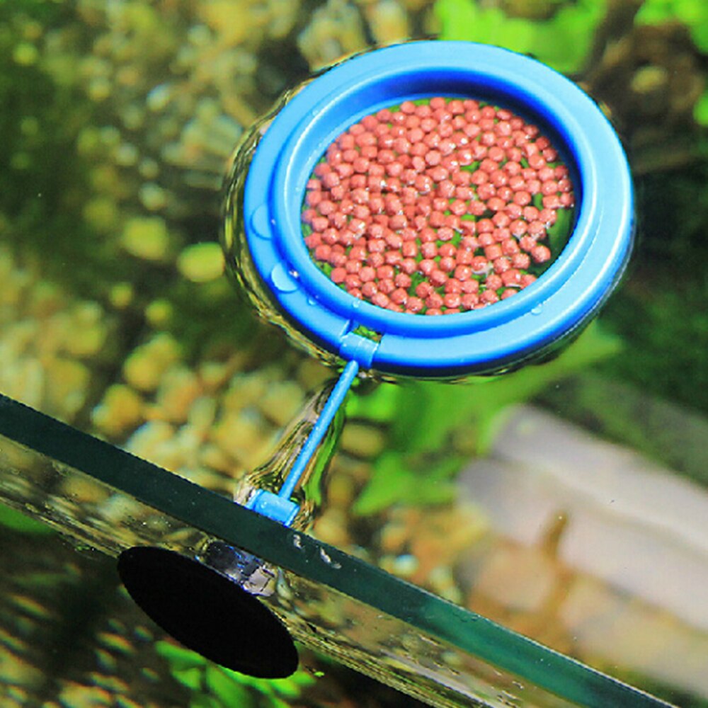 Anneau d'alimentation flottant en plastique pour poissons, équipement d'aquarium, carré ou rond, à forte ventouse, 1 pièce: Round / S
